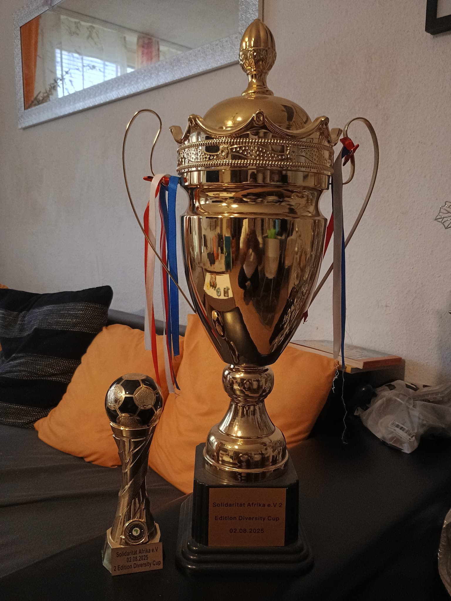Diversity Cup